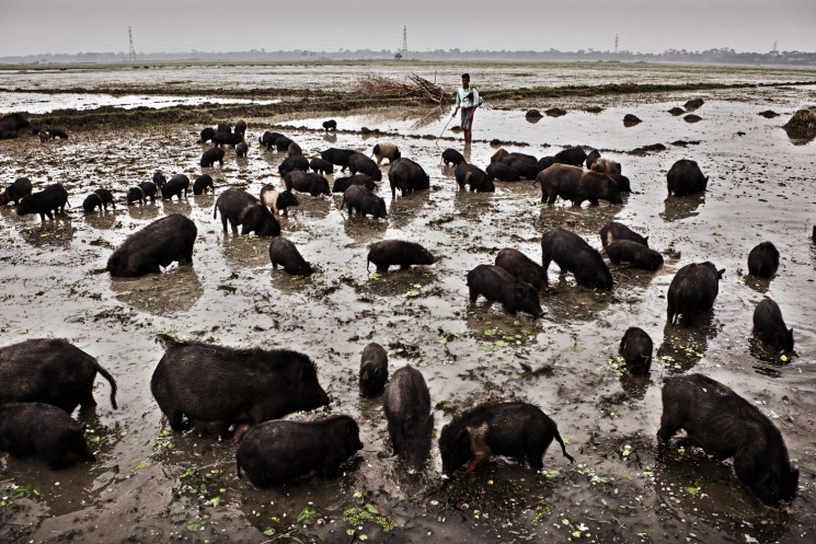 Klimawandel Bangladesh