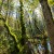 14_rk_watzmann