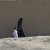Die Hilfsorganisation OFARIN in Afghanistan