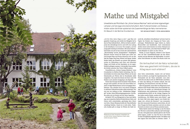 Mathe und Misgabel