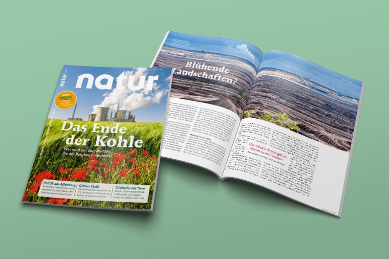 natur 11/2021 - "Das Ende der Kohle"