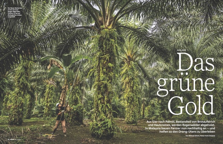 Palmöl Borneo, Teaser