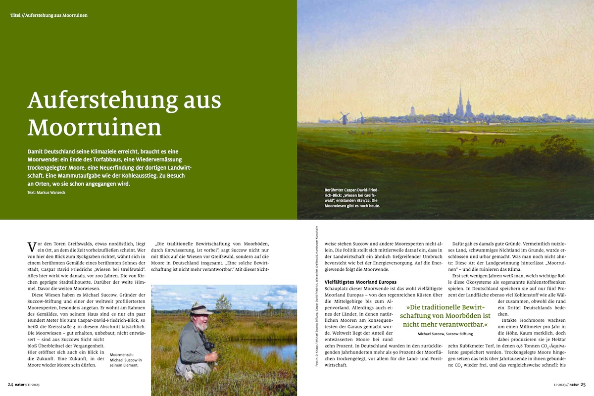 Auferstehung aus Moorruinen - Teaser
