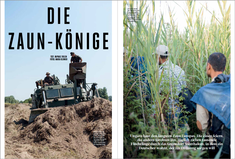 Die Zaun-Könige