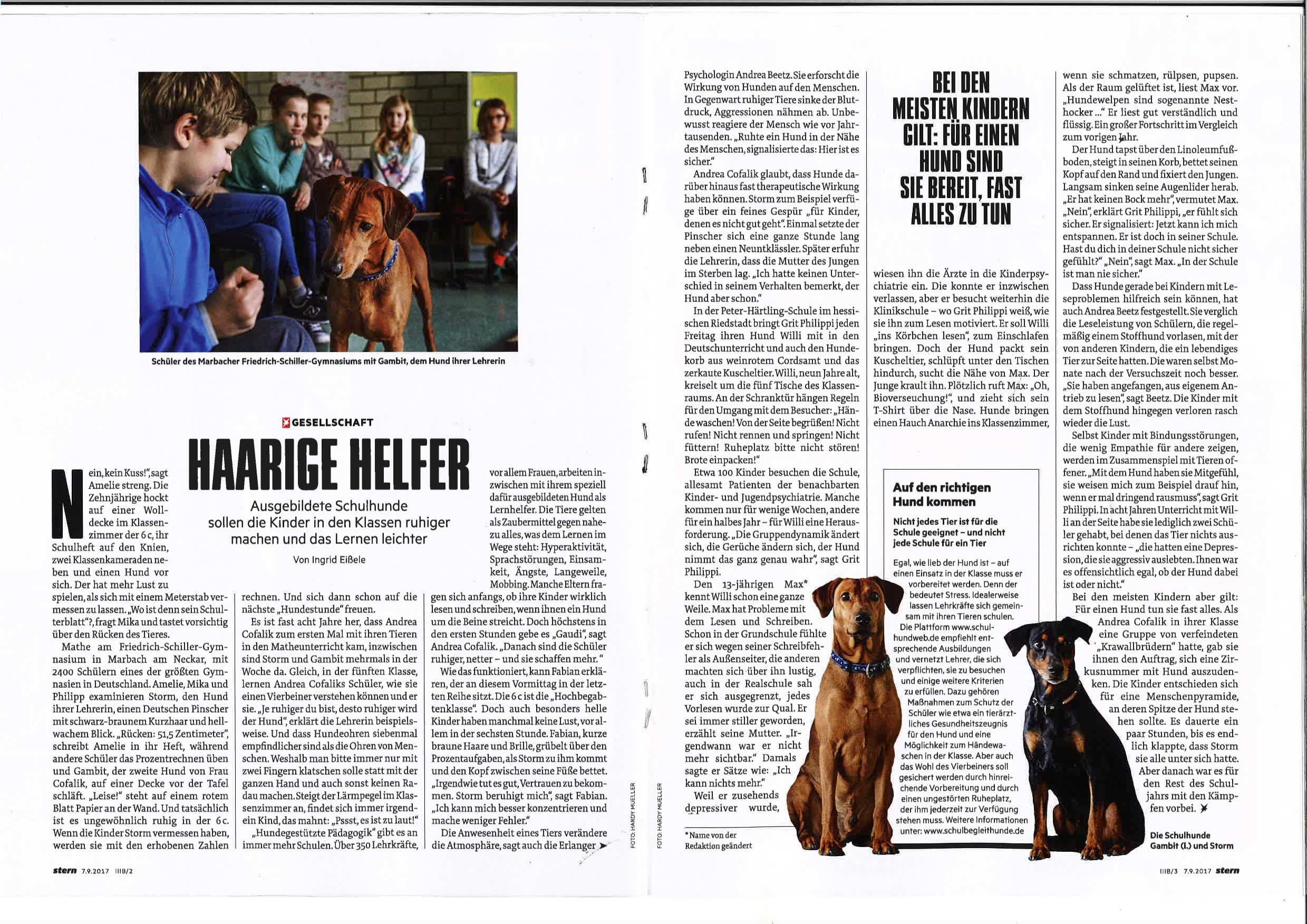 Schulhunde
