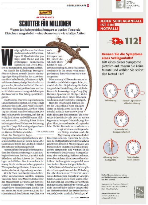 SCHOTTER FÜR MILLIONEN