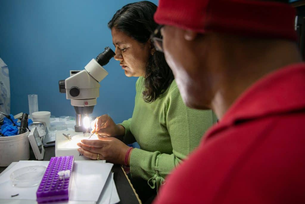Wissenschaftlerinnen im Globalen Süden