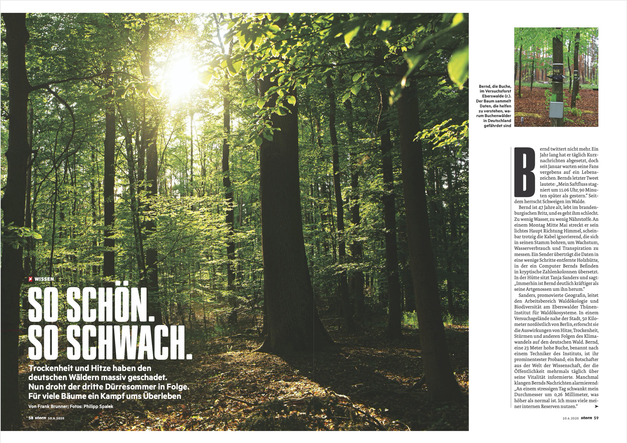 So schön. So schwach.