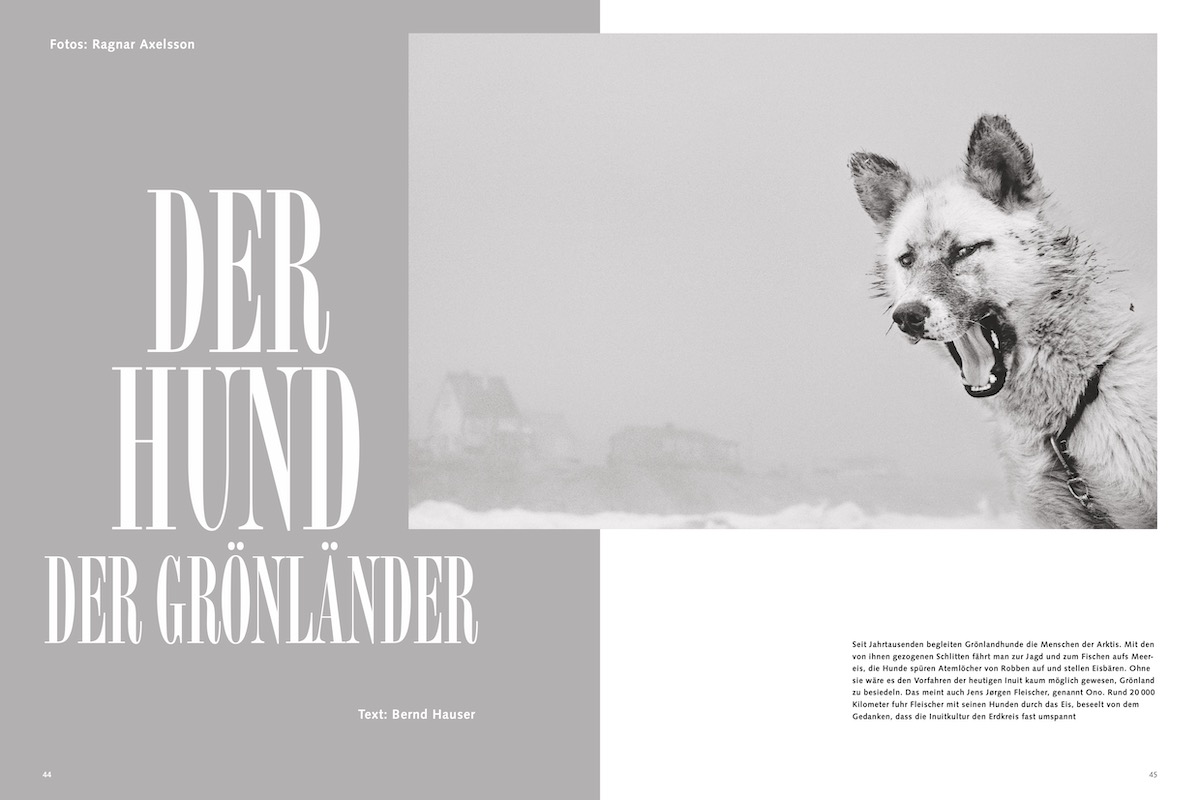 Der Hund der Grönländer