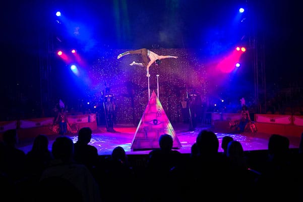 LLRM03 News landluft03_zirkus_kl2.jpg