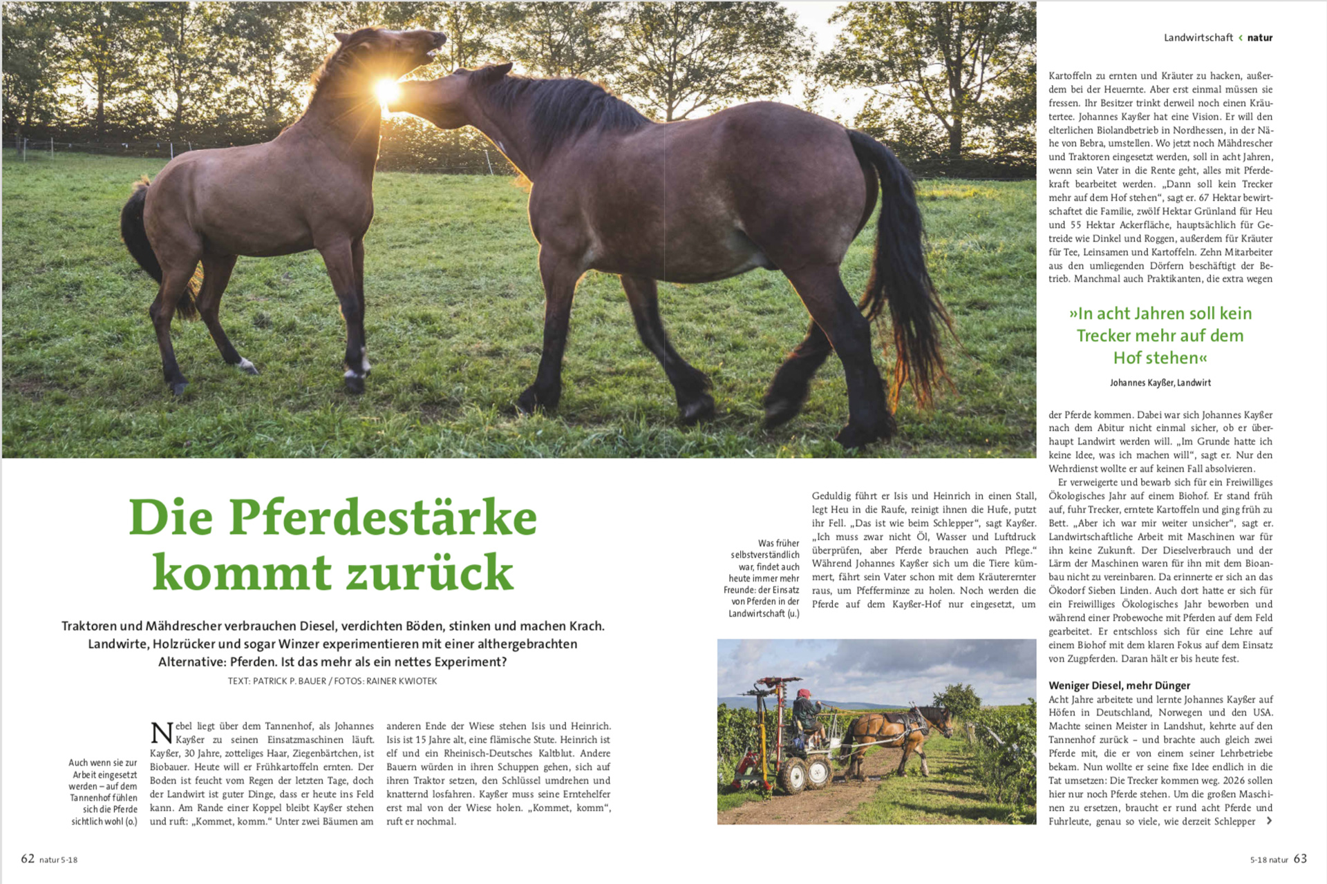 Die Pferdestärke kommt zurück