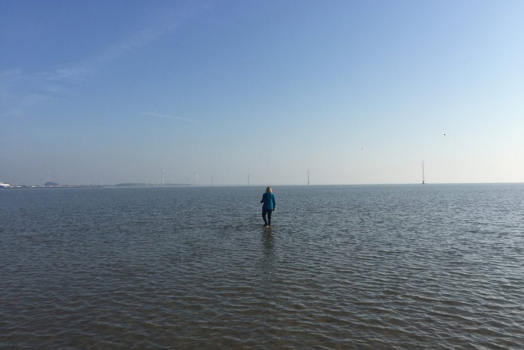 bh_Austern_Teaser_IMG_9809