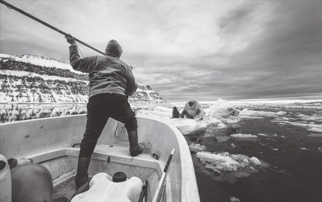 bh_grönland_geo__teaser