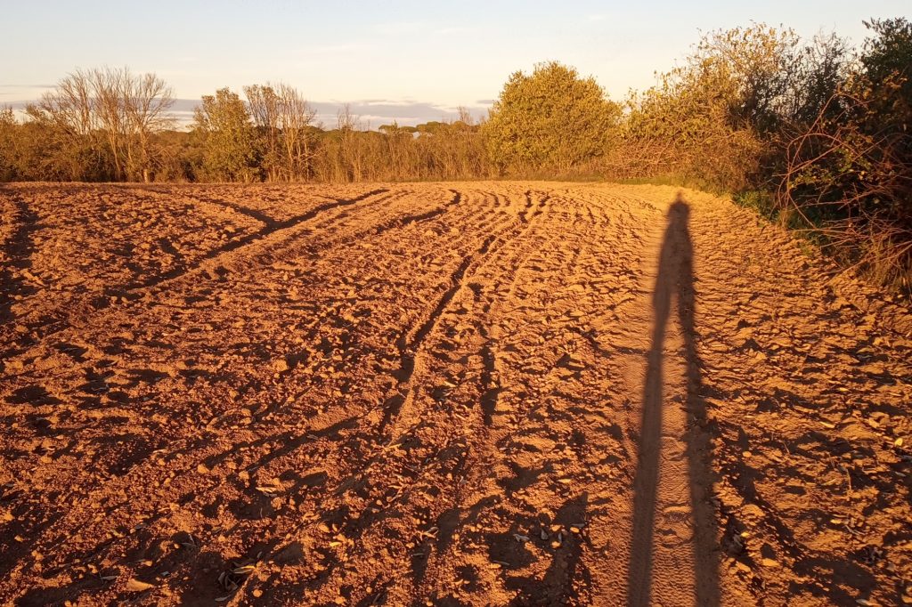 jr_Caffarella_teaser