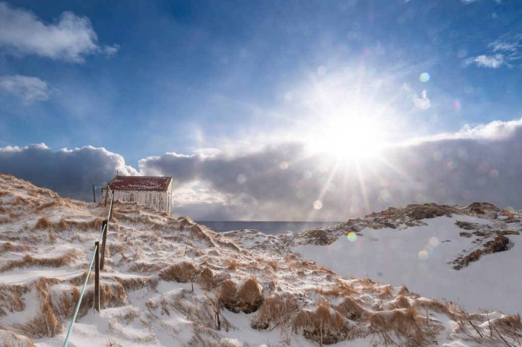 rk_vogelarchitekt_teaser