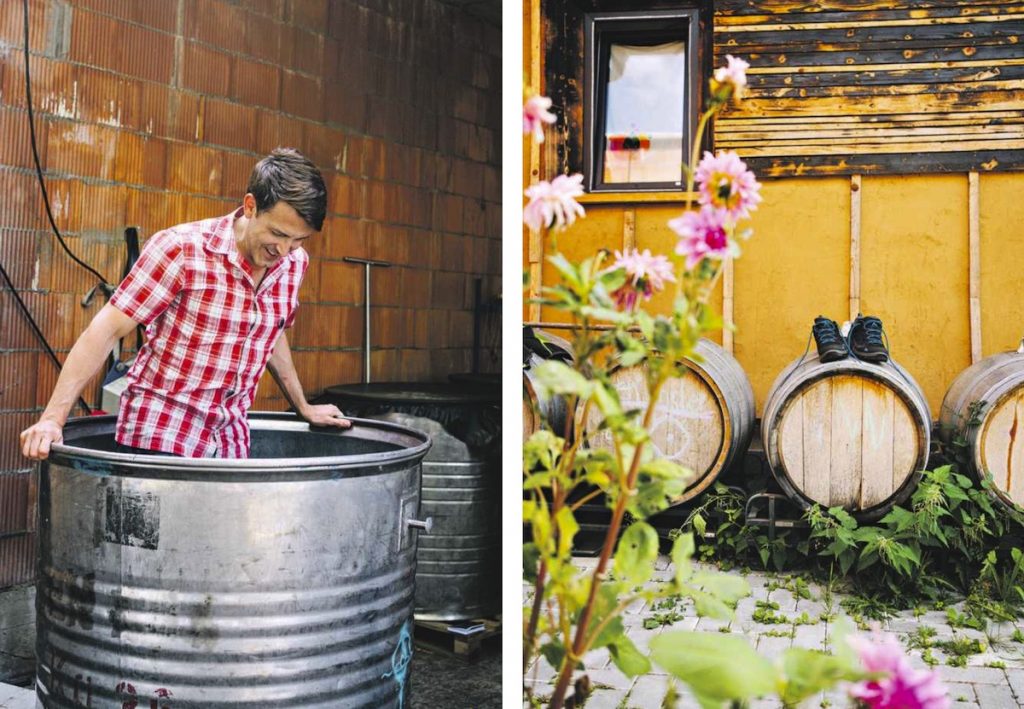 Winzerhof - (c) Vic Harster