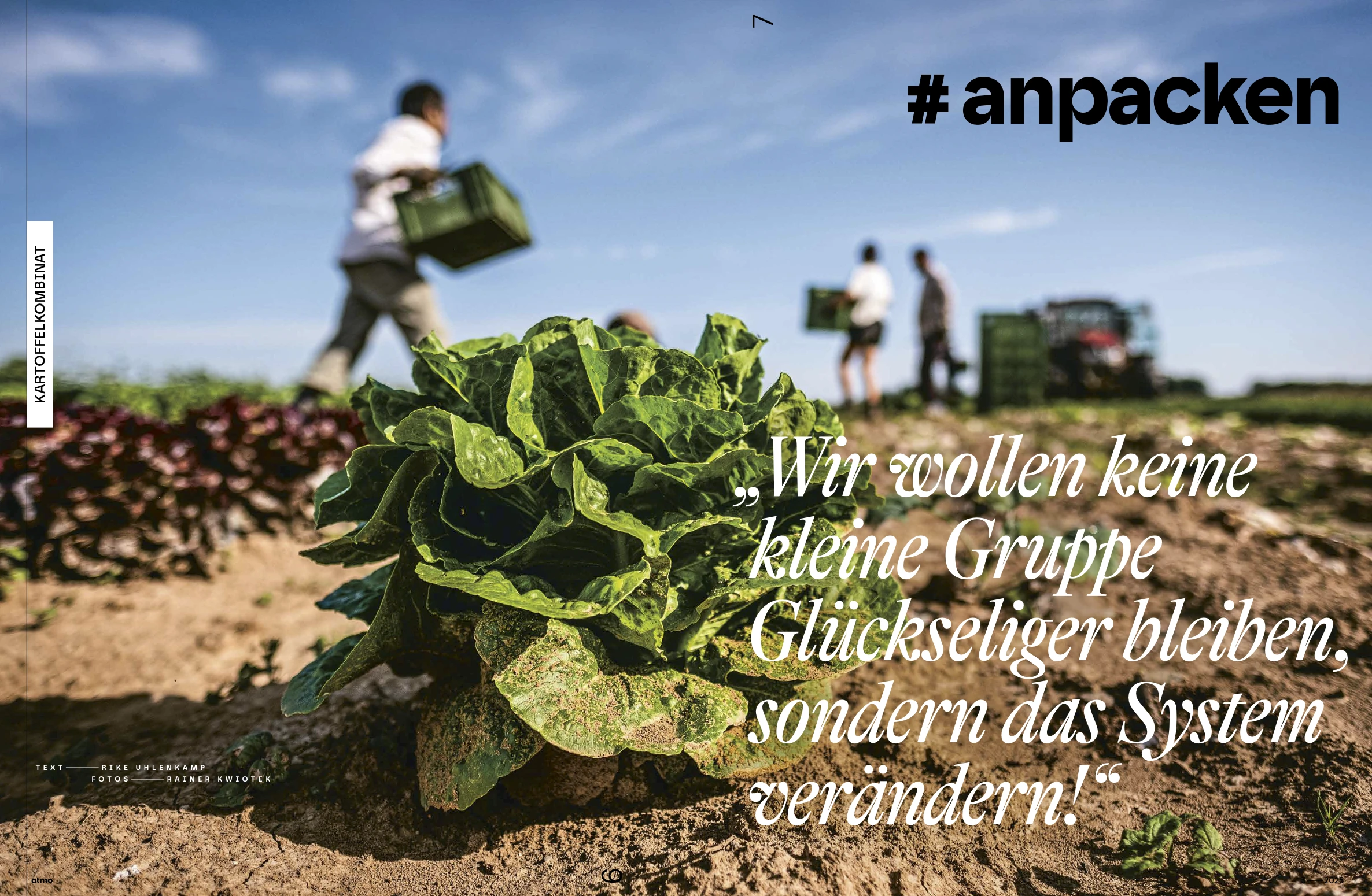 Solidarische Kartoffeln