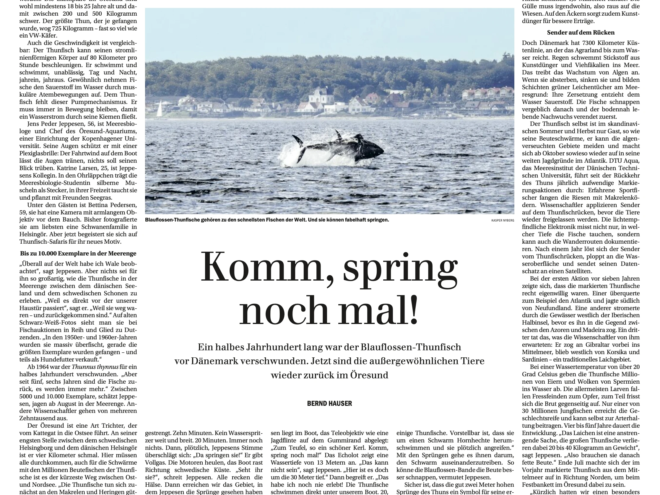 Komm, spring nochmal!